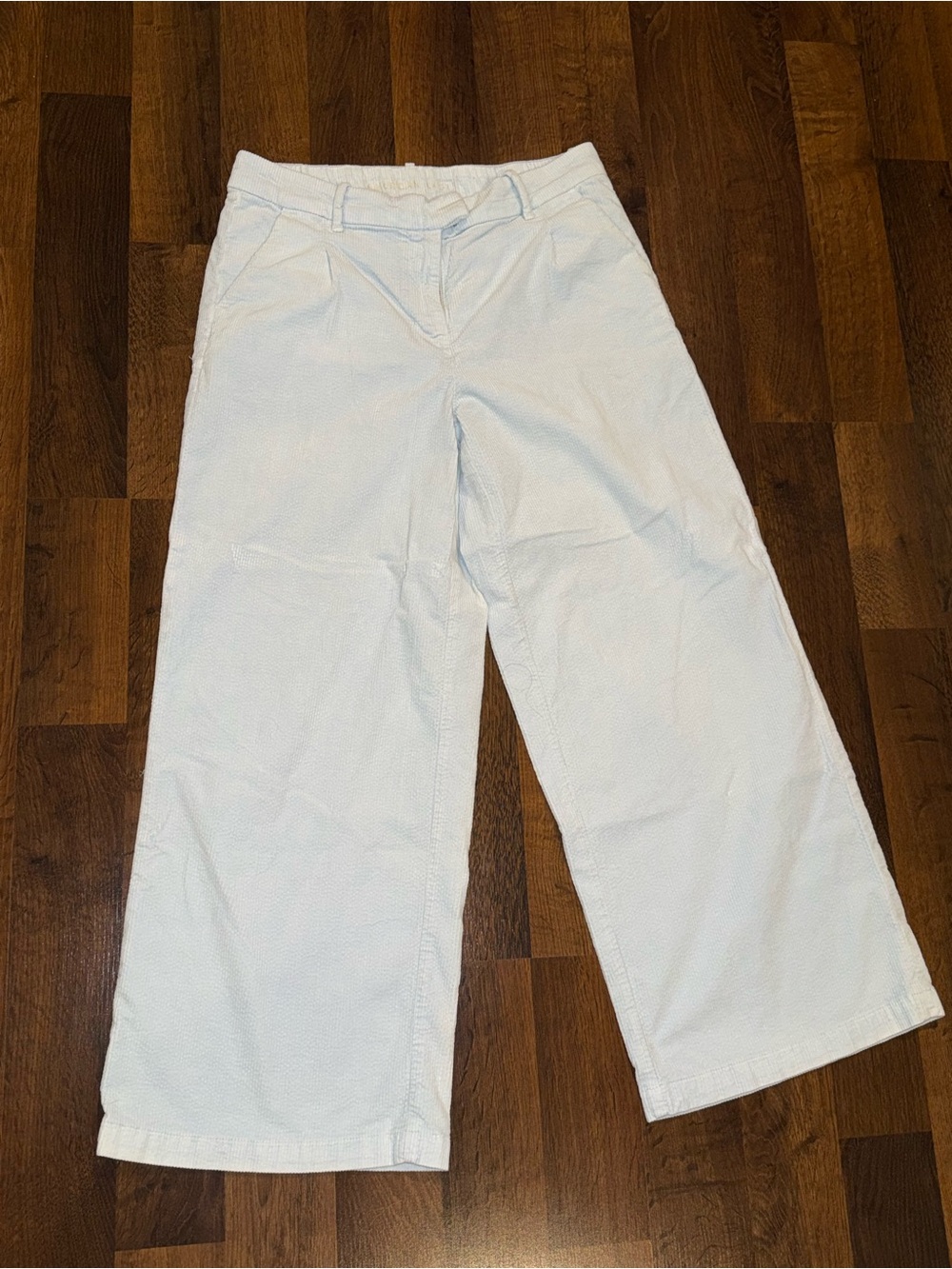 American Eagle wide leg baby blue corduroy pants (women’s size 10)